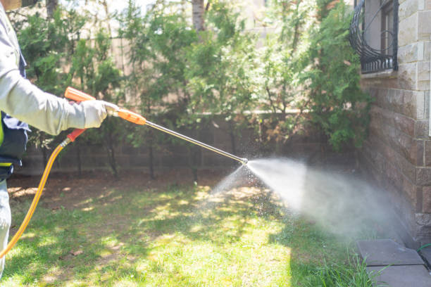 Best Pest Removal Services  in Dexter, NM