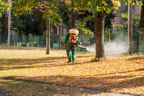 Best Pest Prevention Services  in Dexter, NM