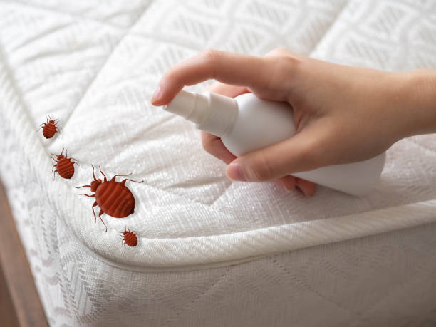 Best Pest Control for Businesses  in Dexter, NM