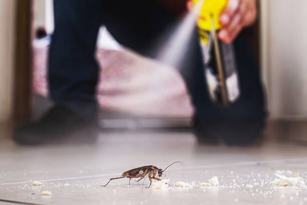 Best Exterminator Services  in Dexter, NM